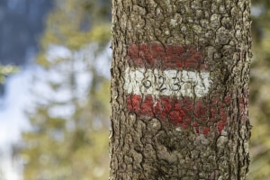 MG_0823-000-ridotta