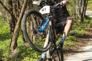 MG_72420-ridotta