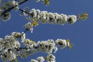 MG_7566-ridotta