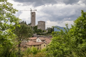 MG_3784-000-ridotta