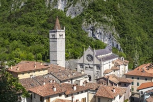 MG_20200-ridotta