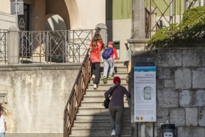 MG_8458-000-ridotta