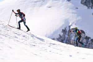 CaninSkialp24-13