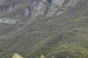 MG_2902-000-ridotta