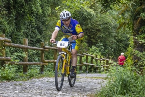 MG_501600-ridotta