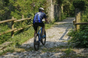 MG_50460-ridotta
