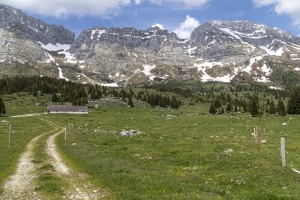 MG_6996-001-ridotta