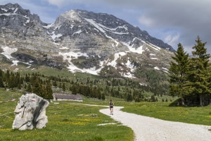 MG_7021-001-ridotta