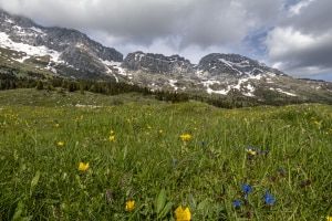 MG_7036-001-ridotta