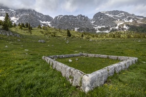 MG_7230-001-ridotta