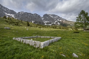 MG_7231-001-ridotta