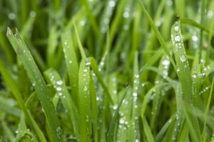 MG_5807-000