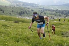 VERTICAL DAL LOUF 2024