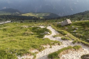 MG_34750-ridotta