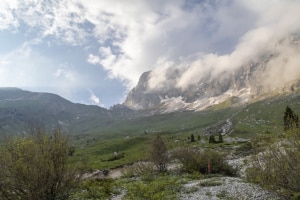 MG_37920-ridotta