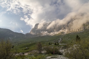 MG_37930-ridotta