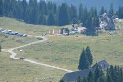 Vertical dal Louf 2025 Young