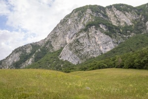 MG_6364-000-ridotta