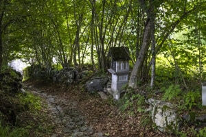 MG_7472-000-ridotta