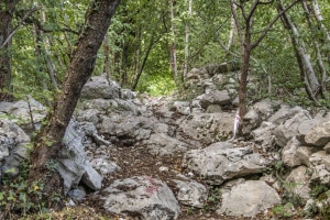 MG_7845-001